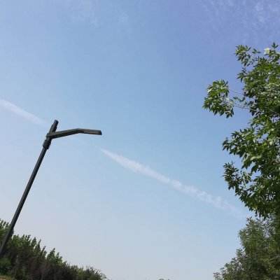 宠物小精灵xy破解版下载